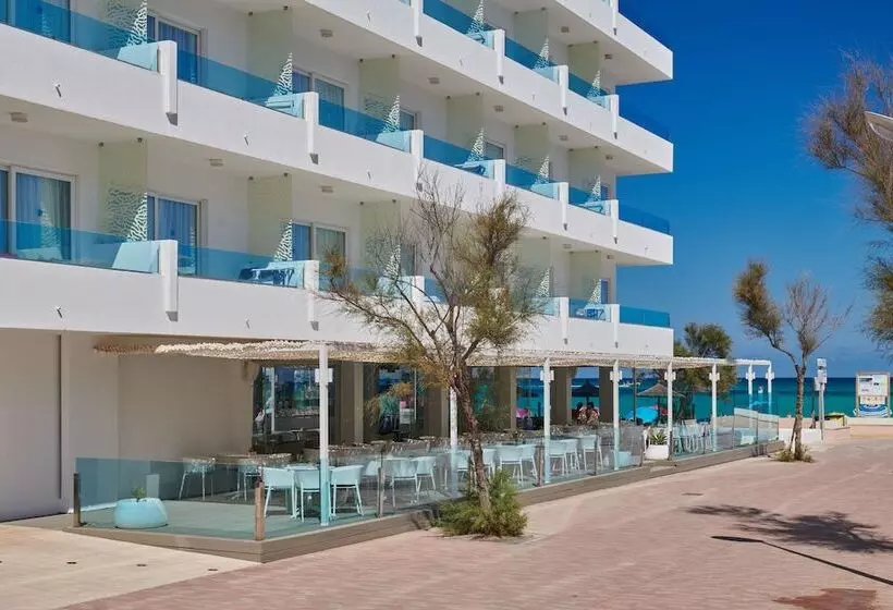 The Sea Hotel By Grupotel   Adults Only