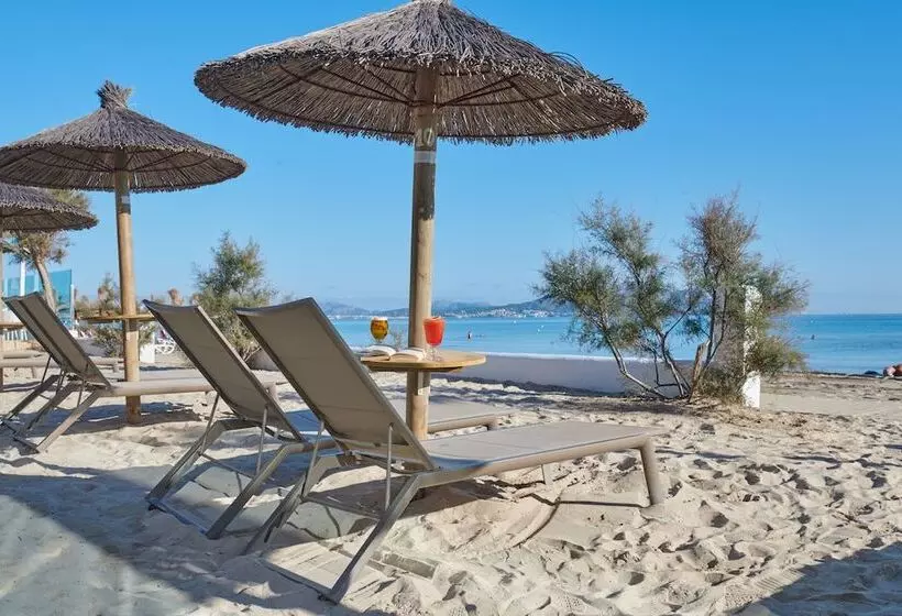 The Sea Hotel By Grupotel   Adults Only