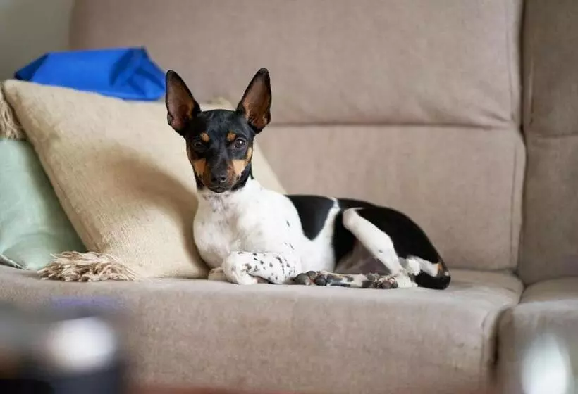 فندق Air Penedès