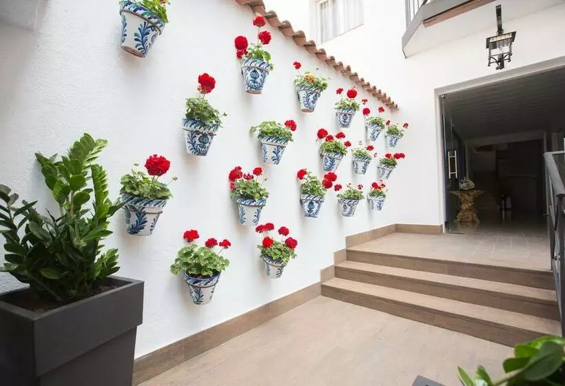 Hotel & Apartamentos Neptuno