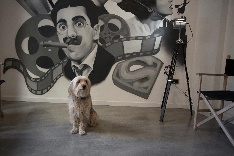 هتل Casual Del Cine Valencia