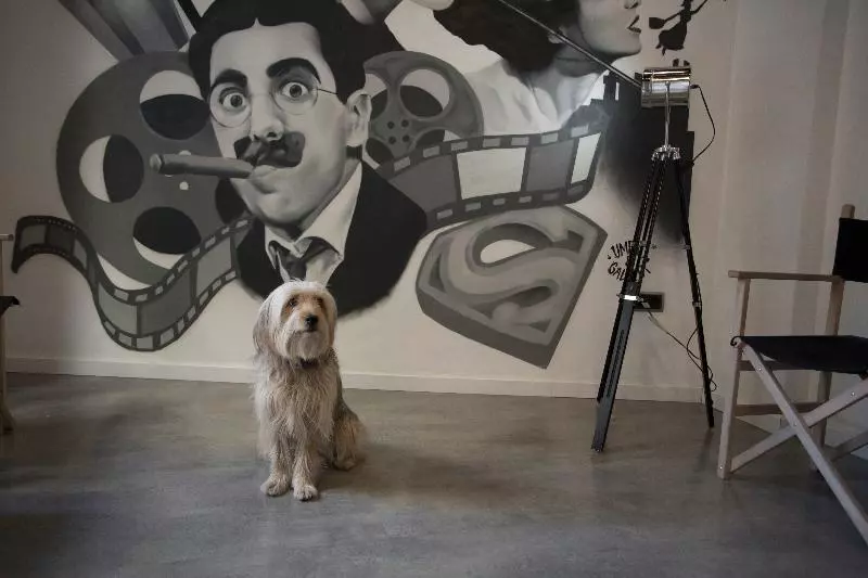 فندق Casual Del Cine Valencia