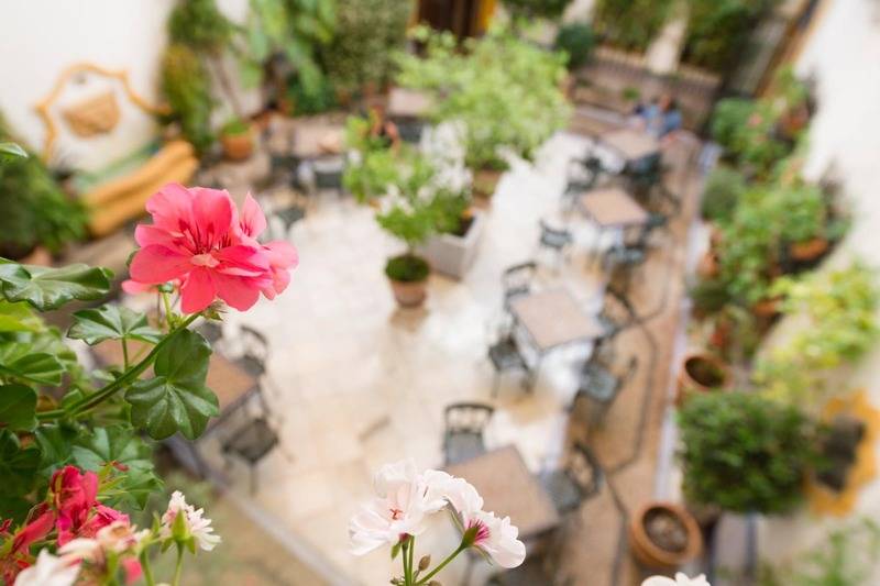 هتل Eurostars Maimonides