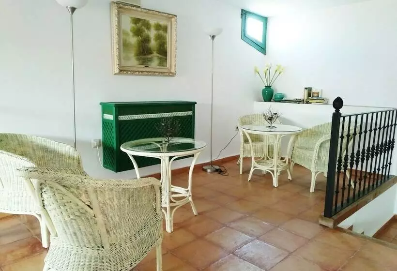 فندق Palacio Buenavista