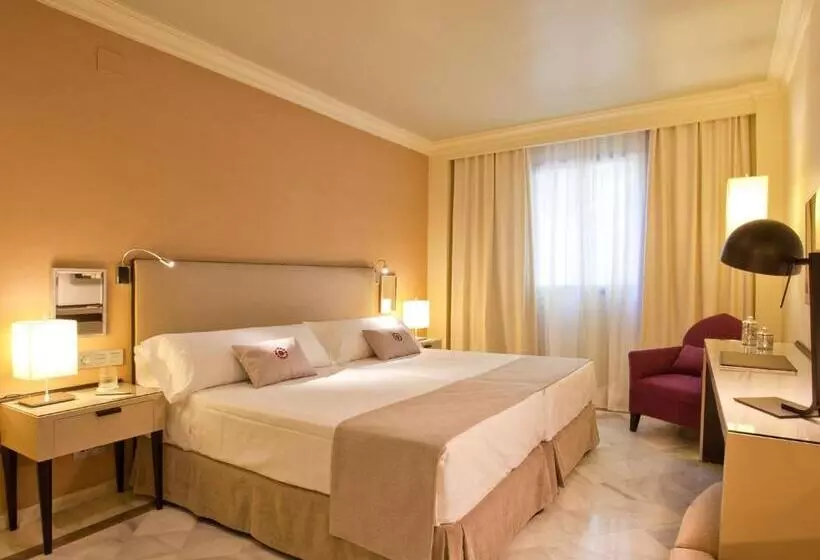 هتل Vincci Albayzin