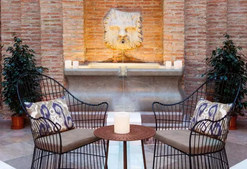 هتل Vincci Albayzin