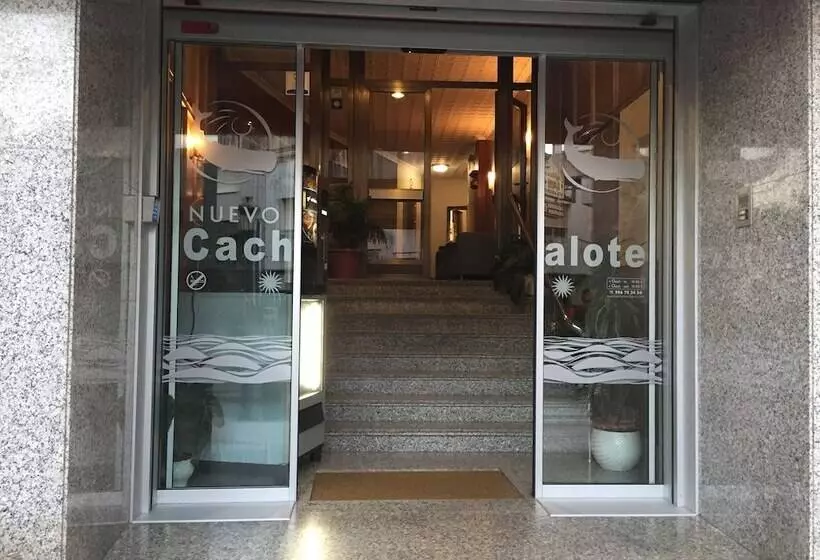 호텔 Nuevo Cachalote