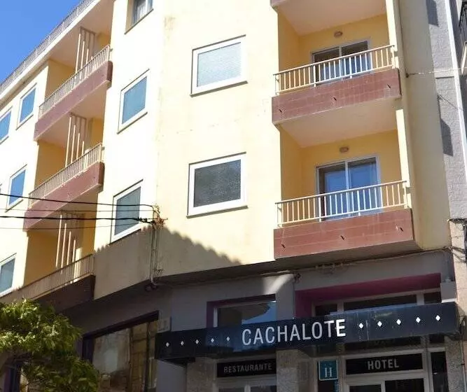 호텔 Nuevo Cachalote