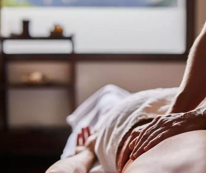 בית מלון כפרי Silken Ordesa