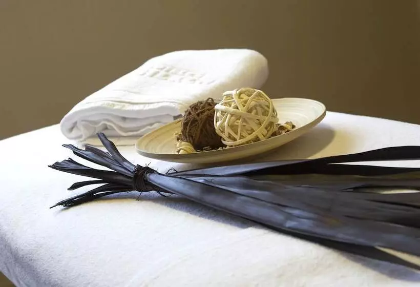 בית מלון כפרי Silken Ordesa