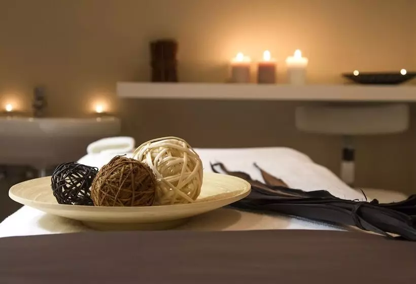 בית מלון כפרי Silken Ordesa