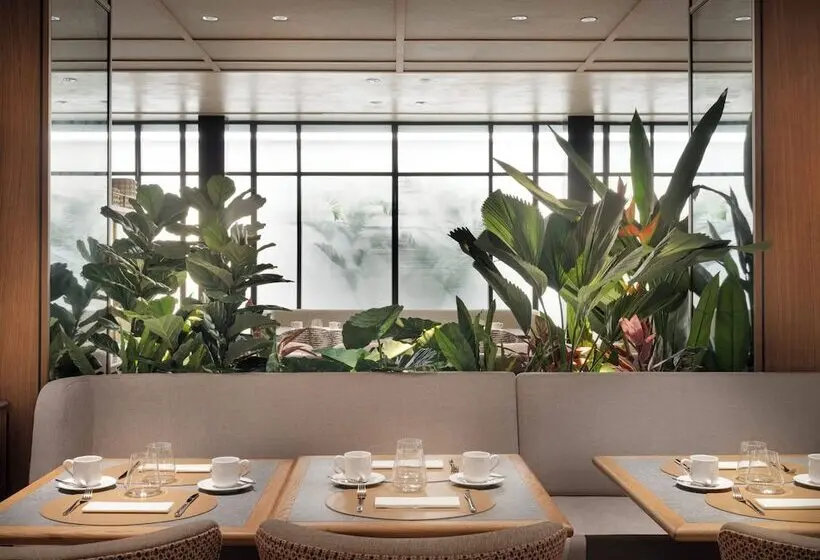 هتل The Westin Madrid Cuzco