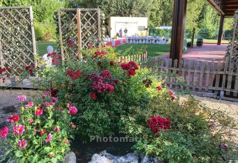 هتل Rey Sancho Palencia