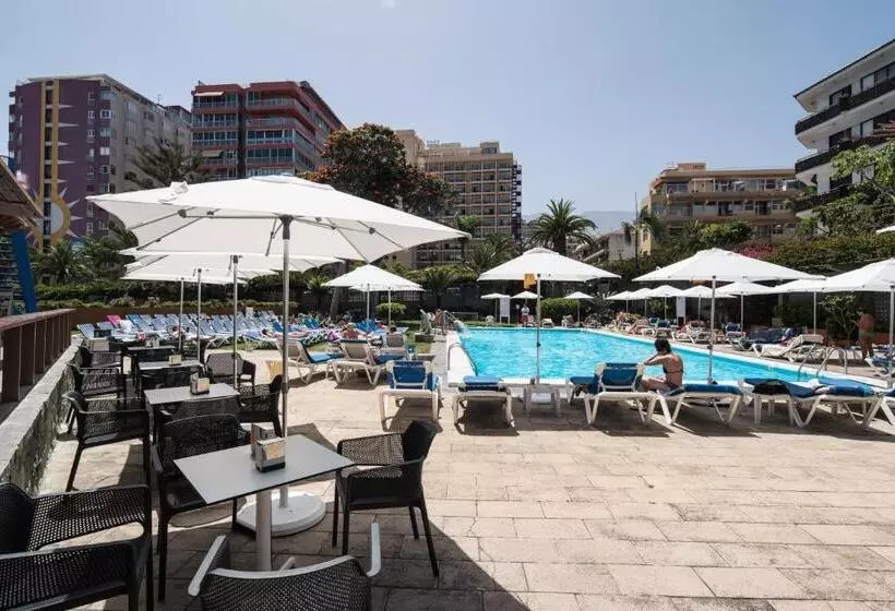 فندق Catalonia Las Vegas - Adults Only