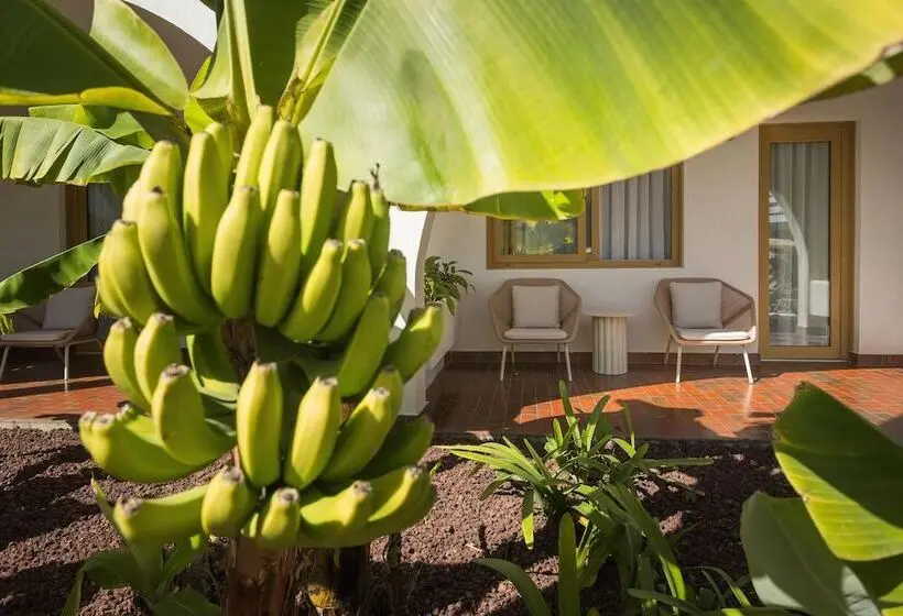ホテル Radisson Resort & Residences Tenerife