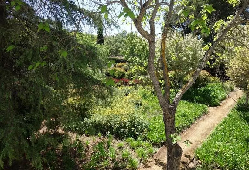 Parador De Antequera