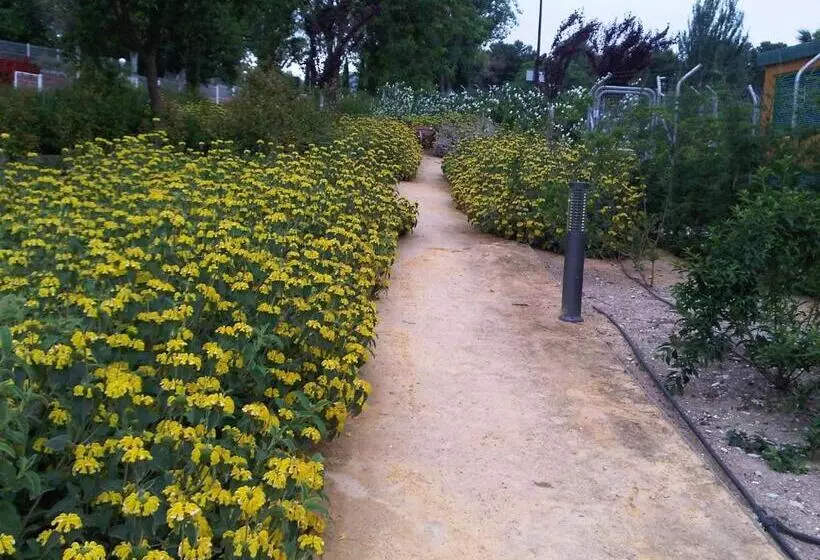 Parador De Antequera