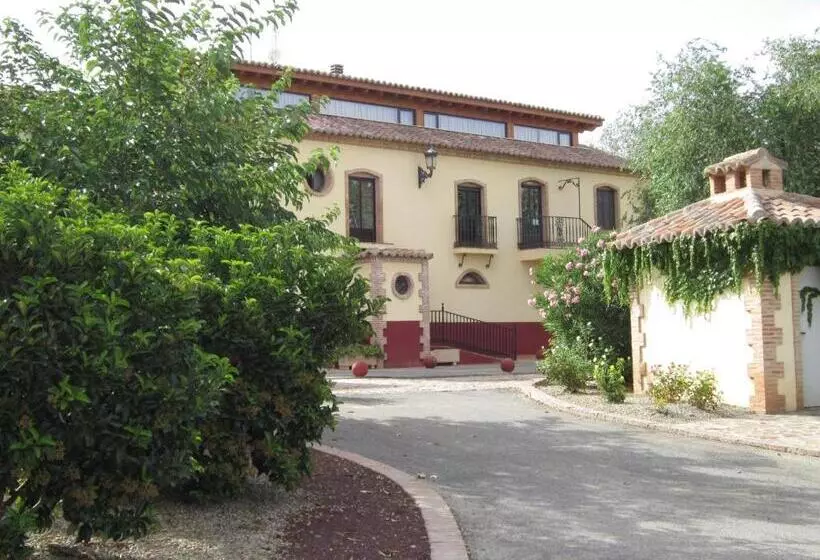 Отель Balneario Cervantes