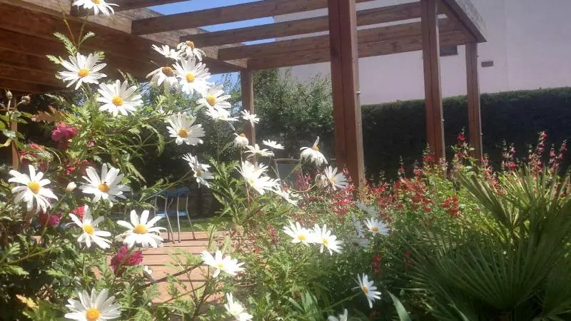 Casa Del Mar Hotel & Apartaments