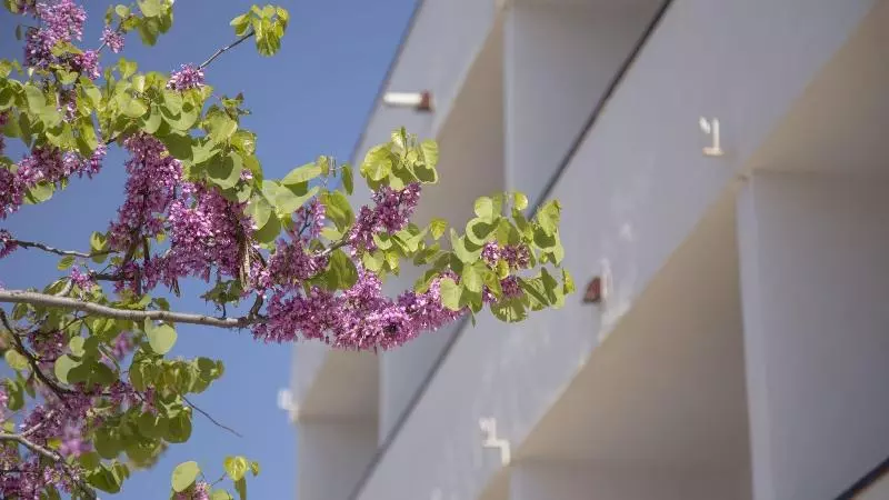 Casa Del Mar Hotel & Apartaments