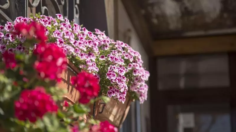 Casa Del Mar Hotel & Apartaments