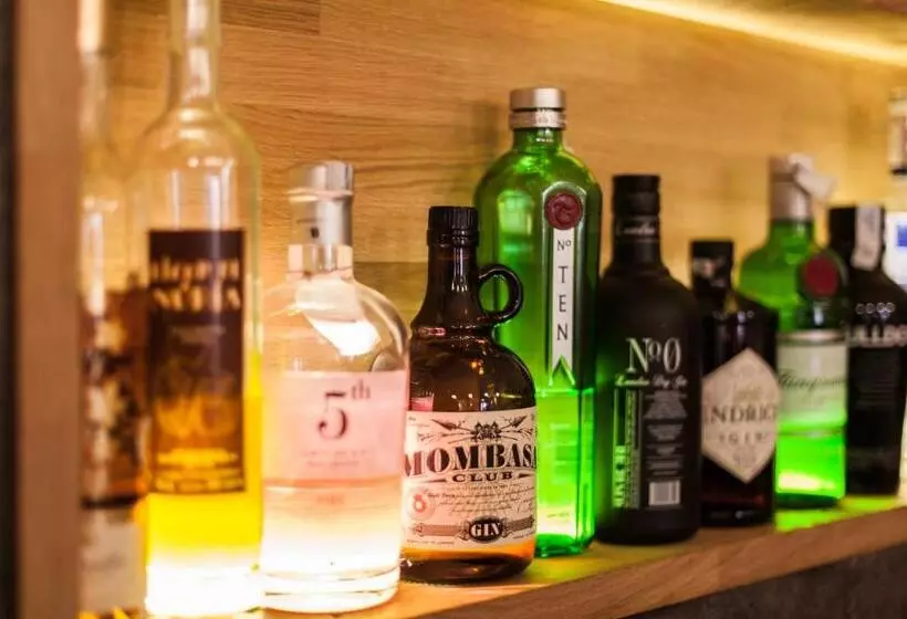 Hotel Catalunya Ribes De Freser