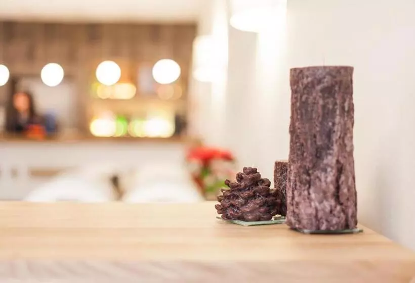 Hotel Catalunya Ribes De Freser