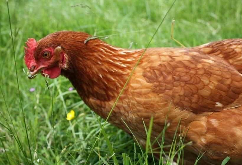 Hotel Posada Del Valle