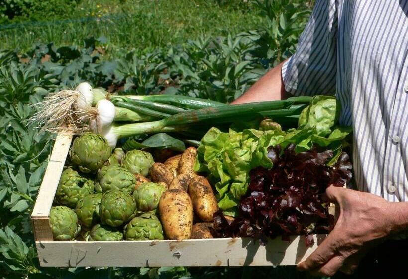 Hotel Posada Del Valle