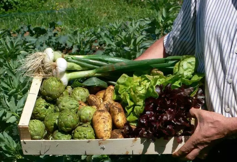 Hotel Posada Del Valle