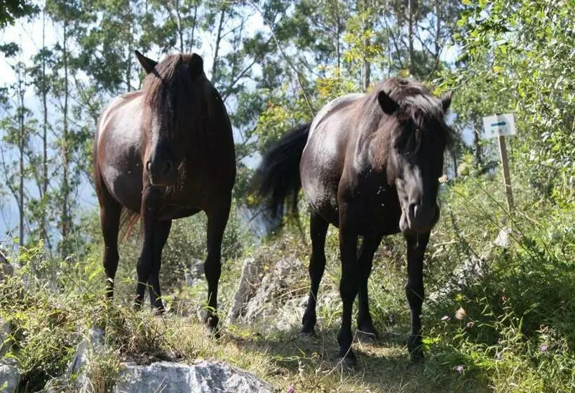 Hotel Posada Del Valle