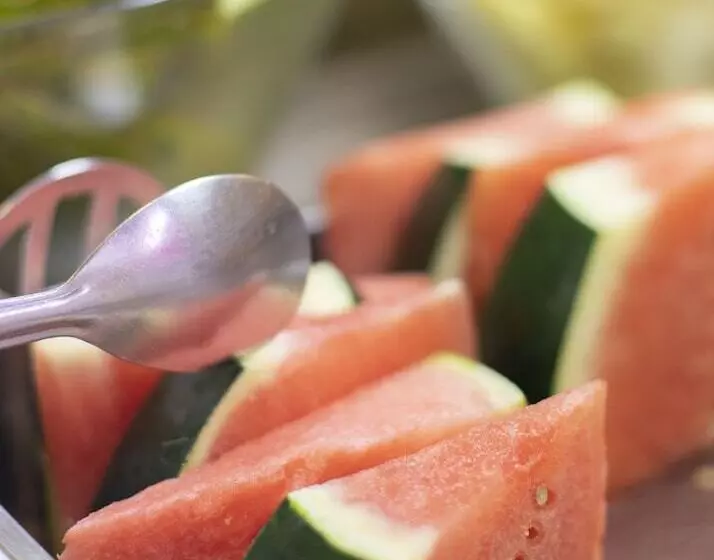 Hotel Spa La Terrassa