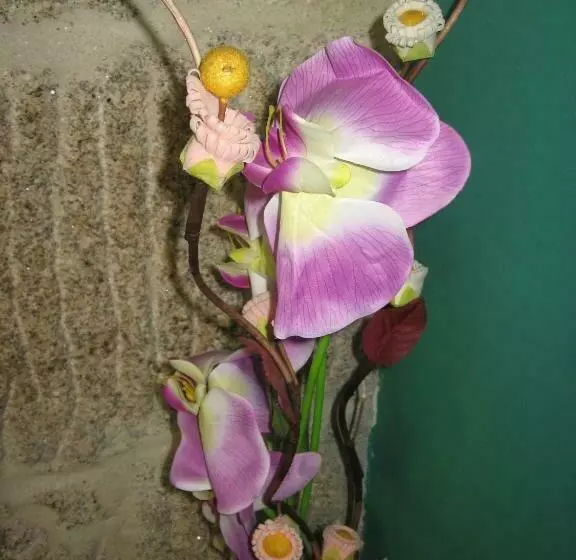 Отель Hostal Casais