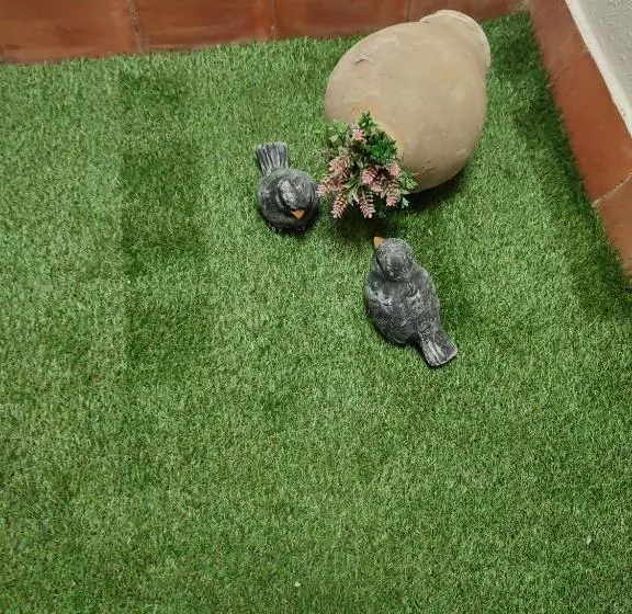 Отель Hostal Garamar