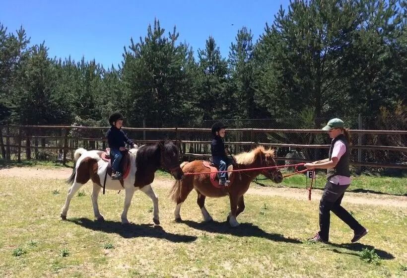 Отель El Milano Real