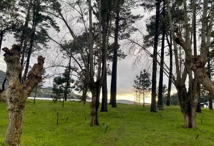 Hotel Alda Cabanas Playa