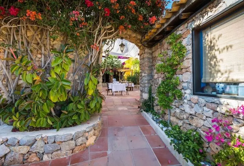 בית מלון כפרי Pikes Ibiza - Adults Only