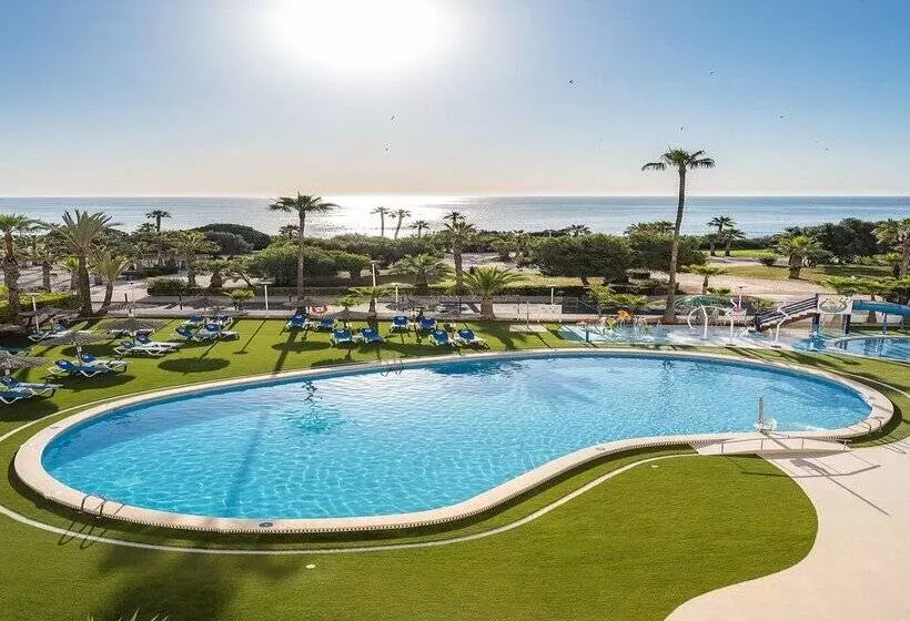 فندق Playas De Torrevieja