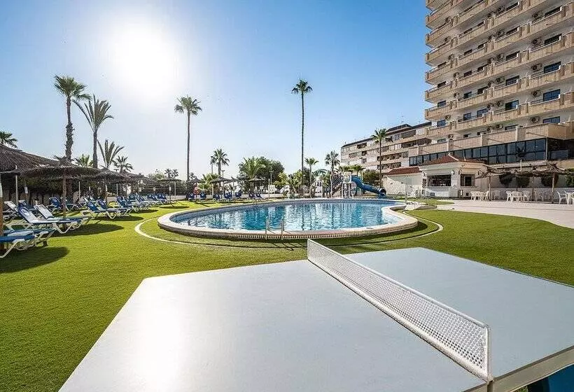 فندق Playas De Torrevieja