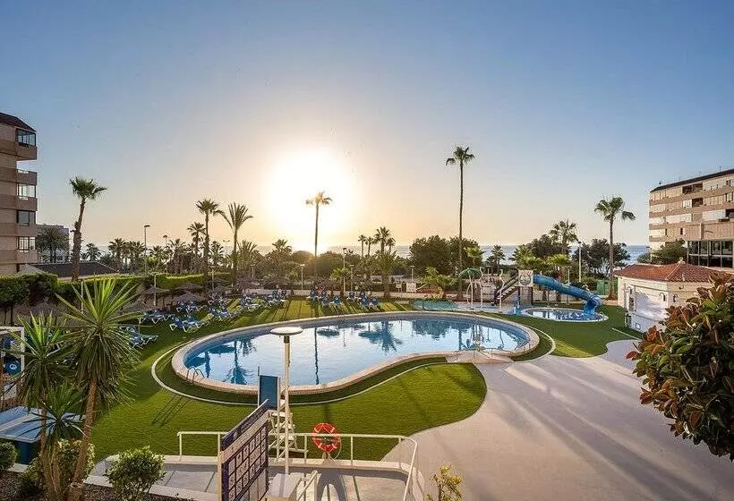 فندق Playas De Torrevieja