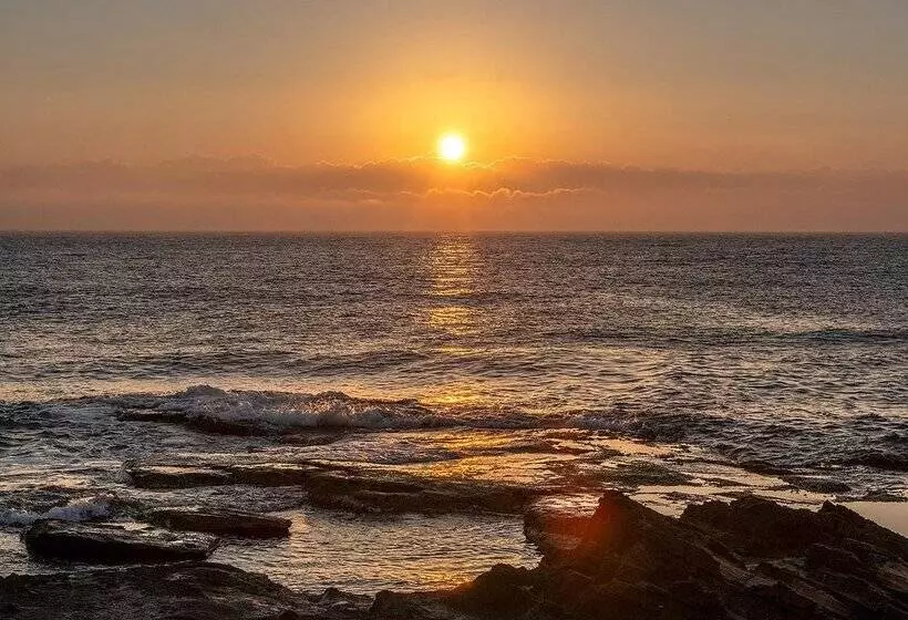 فندق Playas De Torrevieja