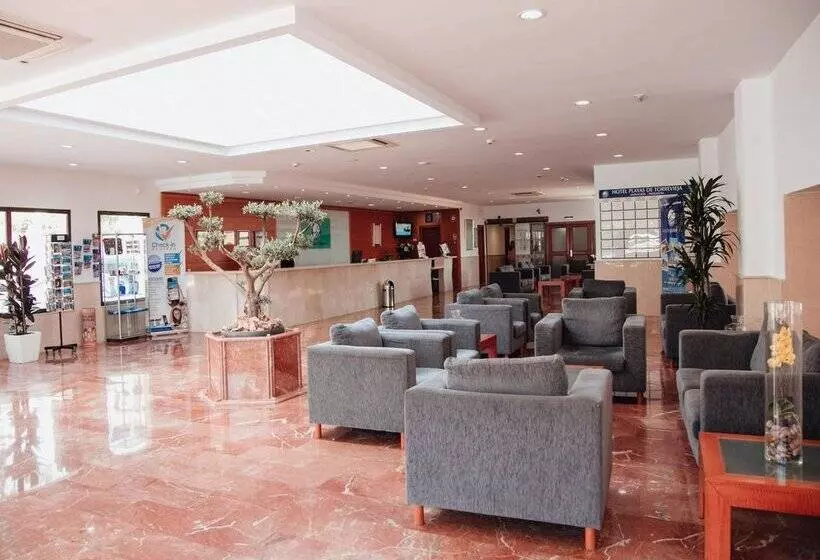 فندق Playas De Torrevieja