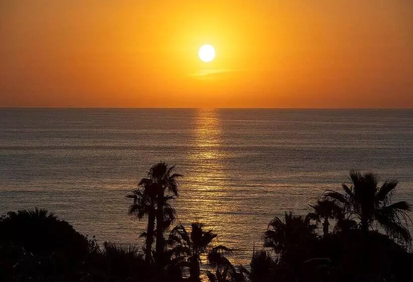 فندق Playas De Torrevieja