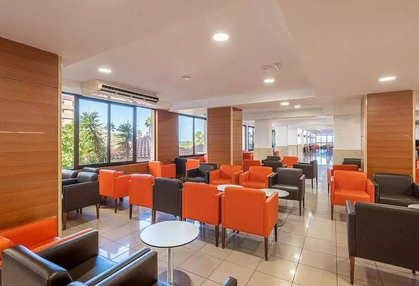 فندق Playas De Torrevieja