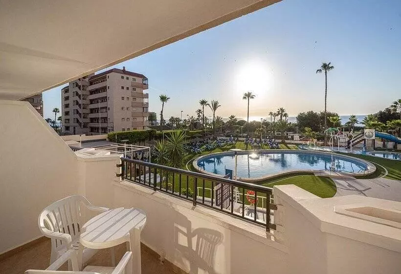 فندق Playas De Torrevieja