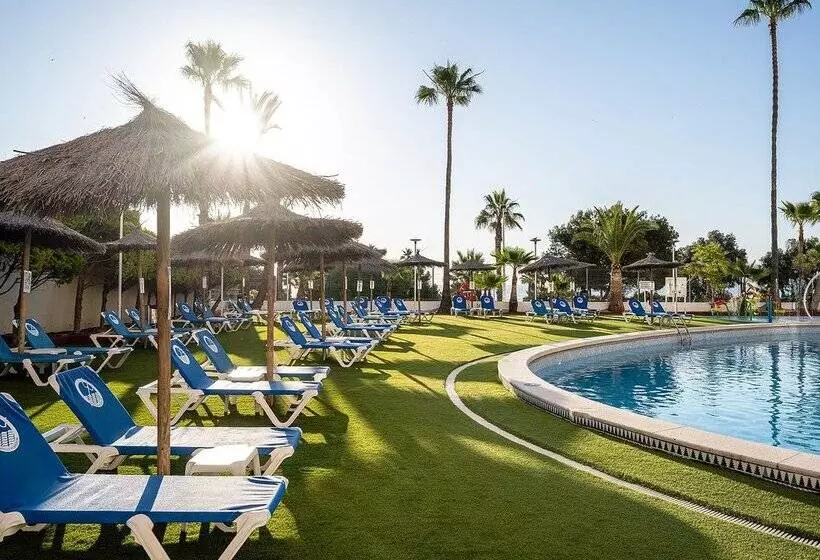 فندق Playas De Torrevieja