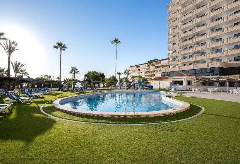 فندق Playas De Torrevieja