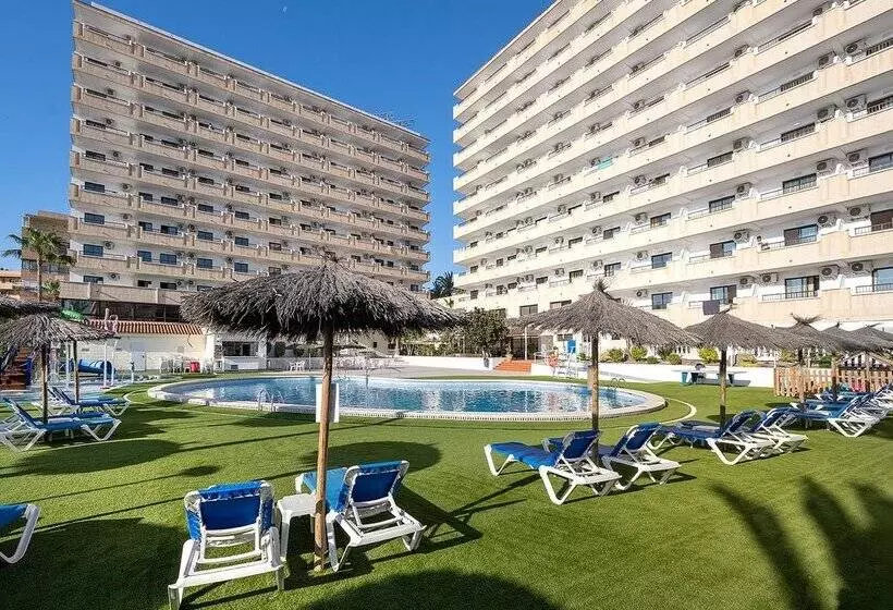 فندق Playas De Torrevieja