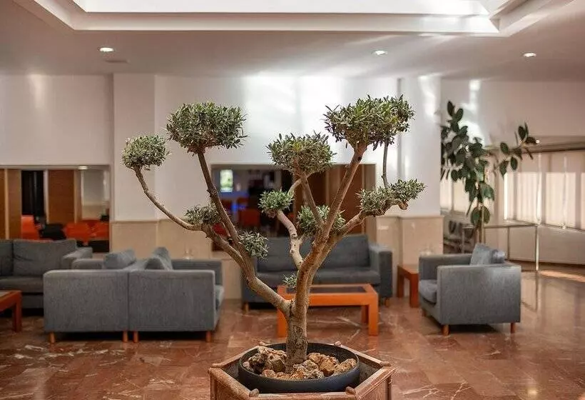 فندق Playas De Torrevieja