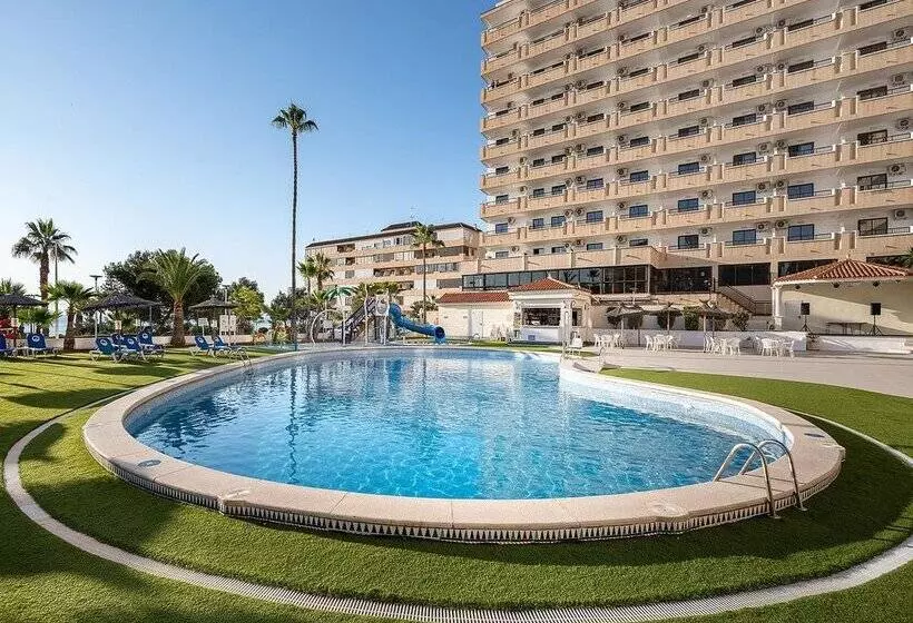 فندق Playas De Torrevieja